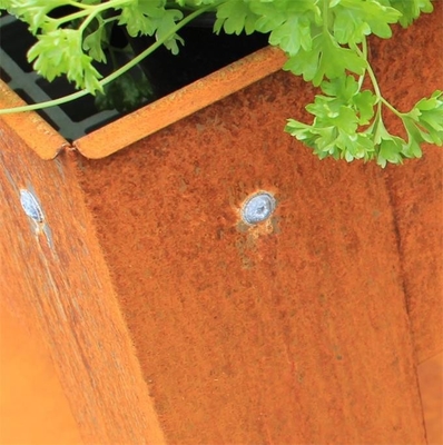 L'acciaio metallico solido di Corten del giardino ha alzato i letti e lo scaffale all'aperto